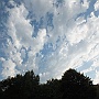 Bild (61)